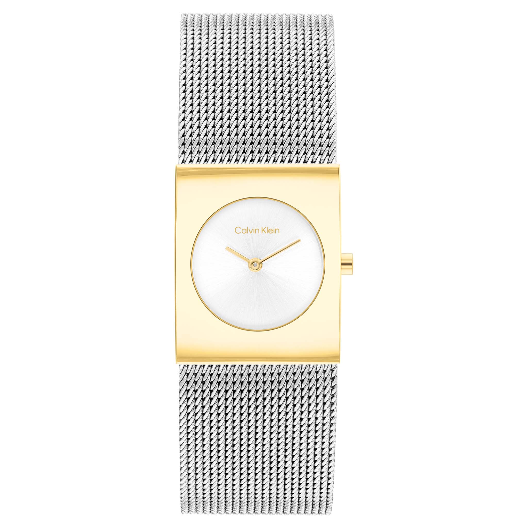 Calvin Klein Stainless Steel Mesh Silver White Dial Women's Watch - 25100139